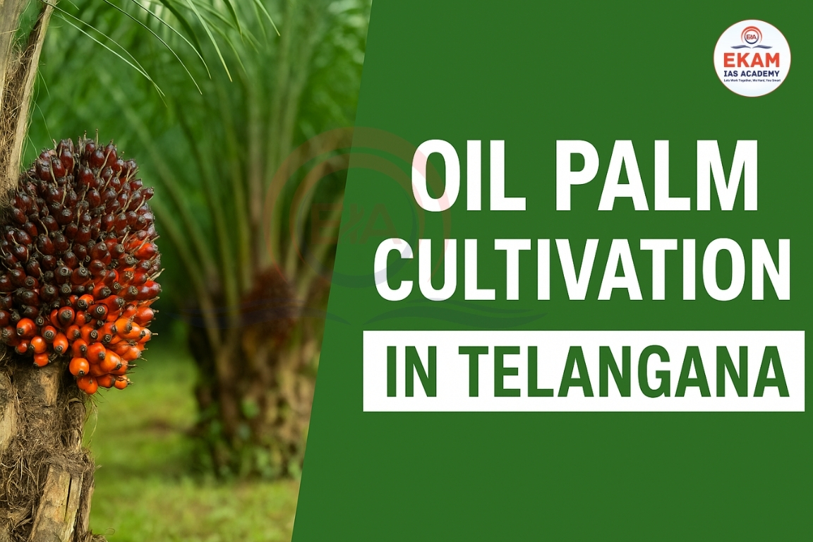 Oil Palm Cultivation In Telangana