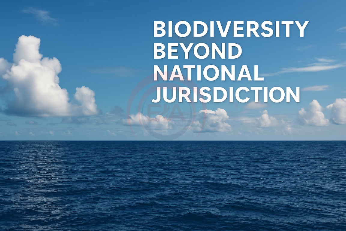 Biodiversity Beyond National Jurisdiction (BBNJ)