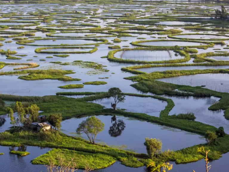 LOKTAK LAKE
