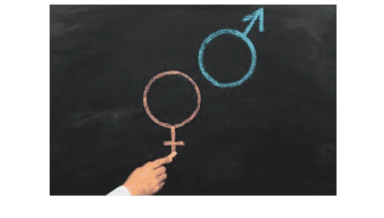 Importance Of Sex Education In Academia