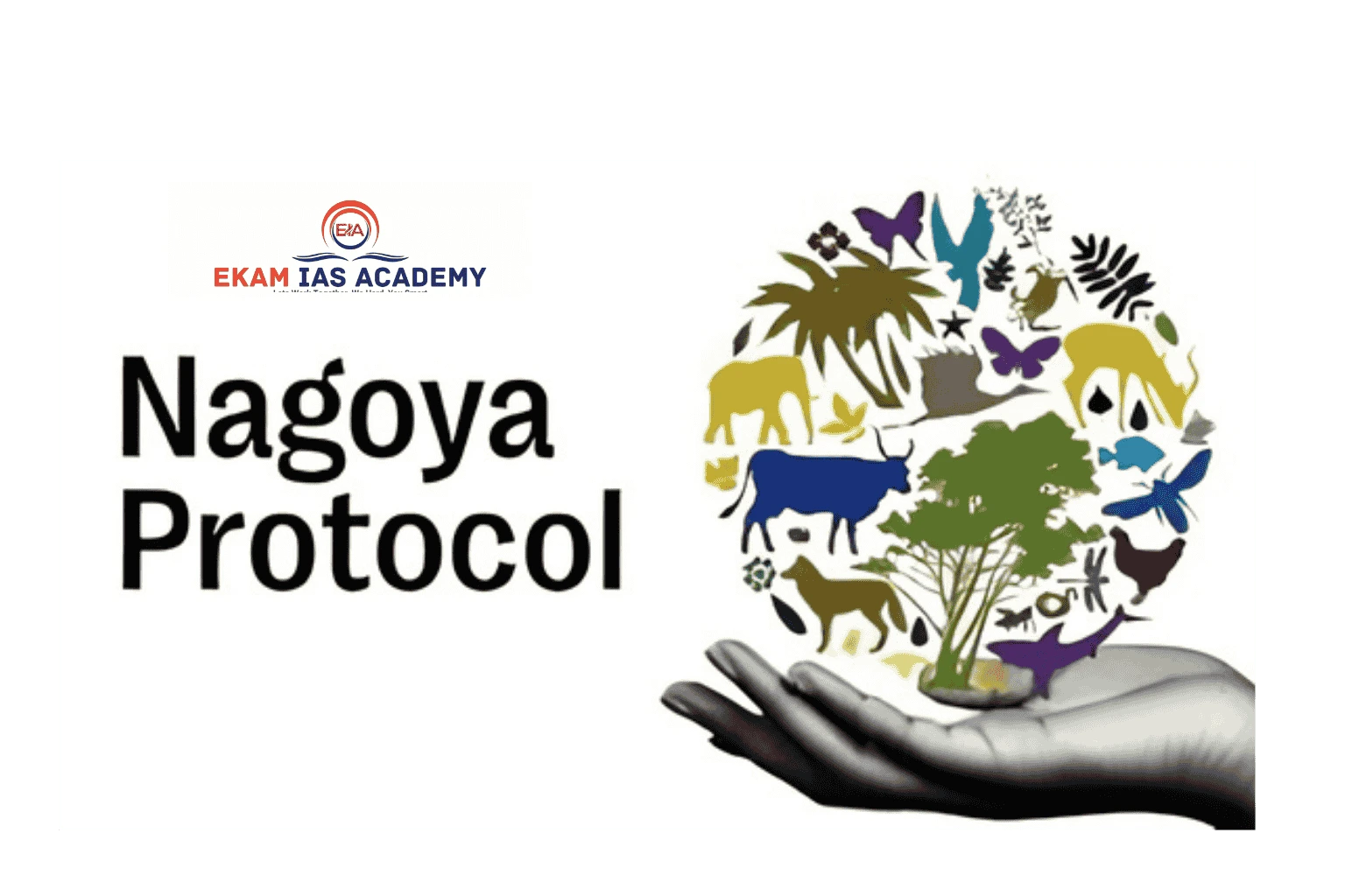 Nagoya Protocol
