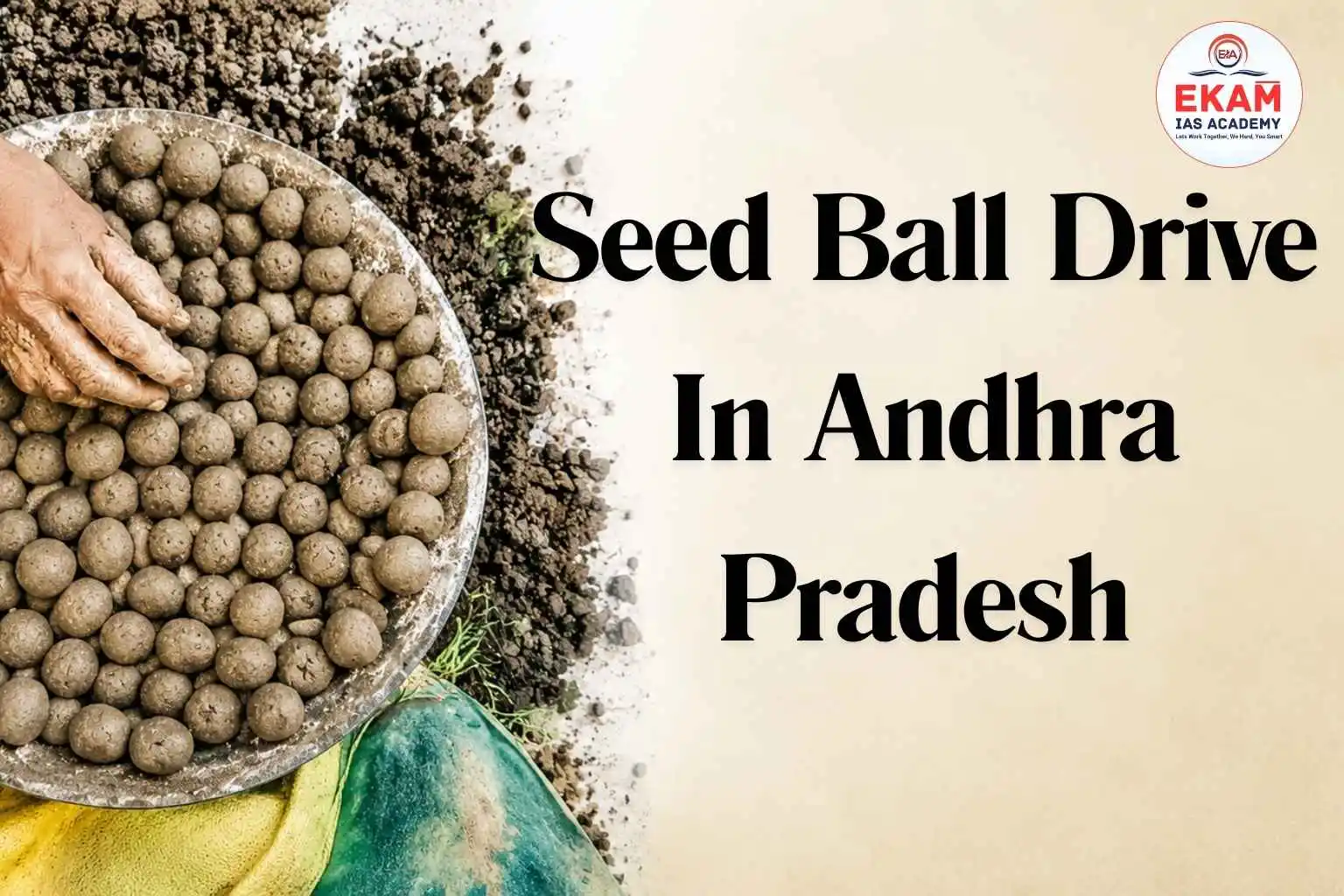 Seed Ball Drive In Andhra Pradesh
