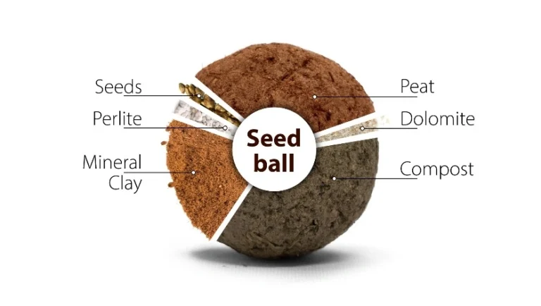 Seed Ball Drive in Andhra Pradesh