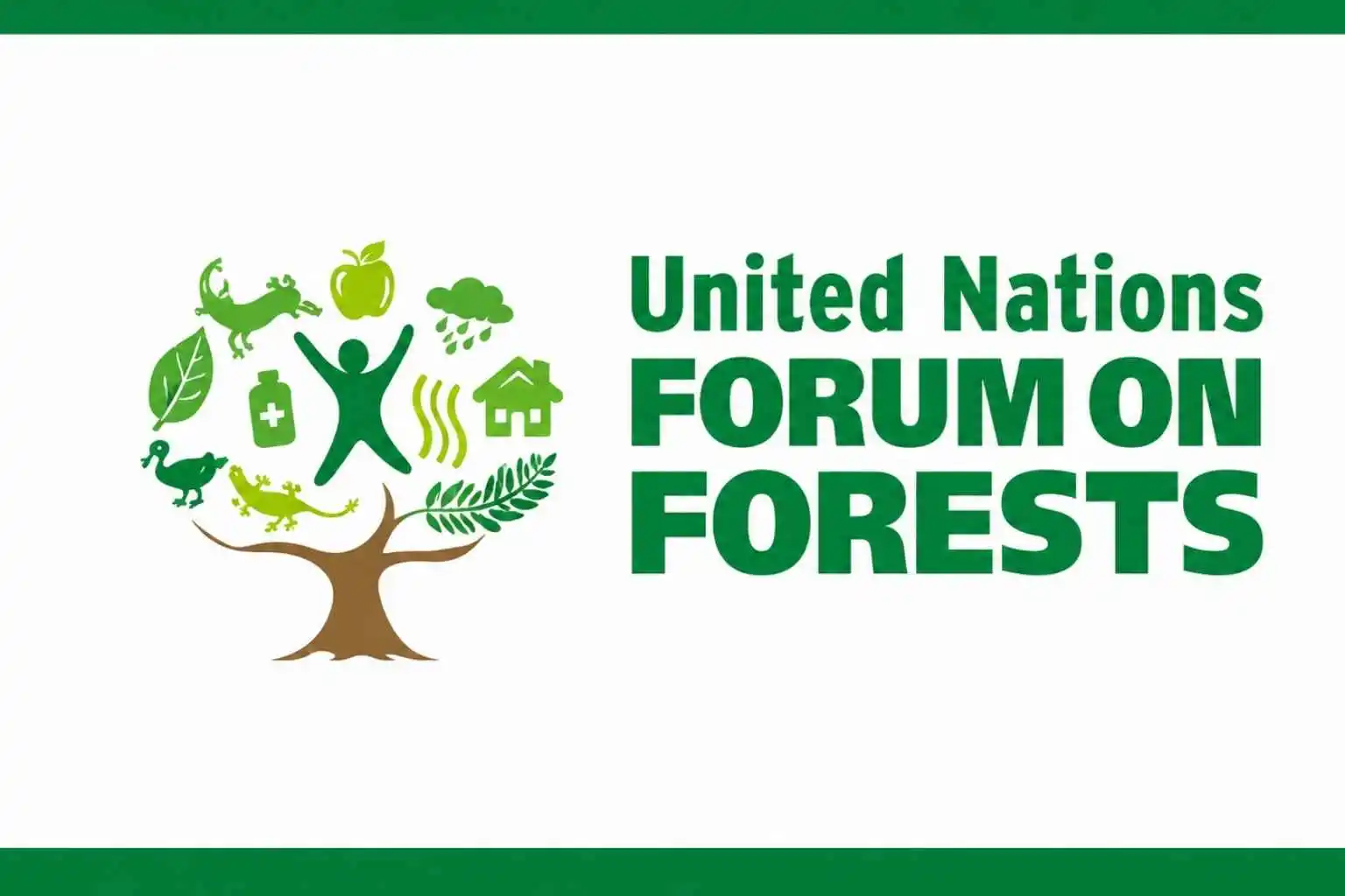 United Nations Forum On Forests (UNFF)