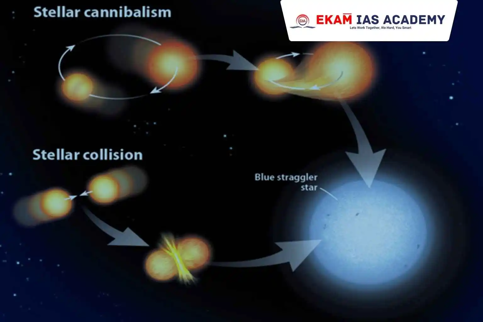 Blue Straggler Stars