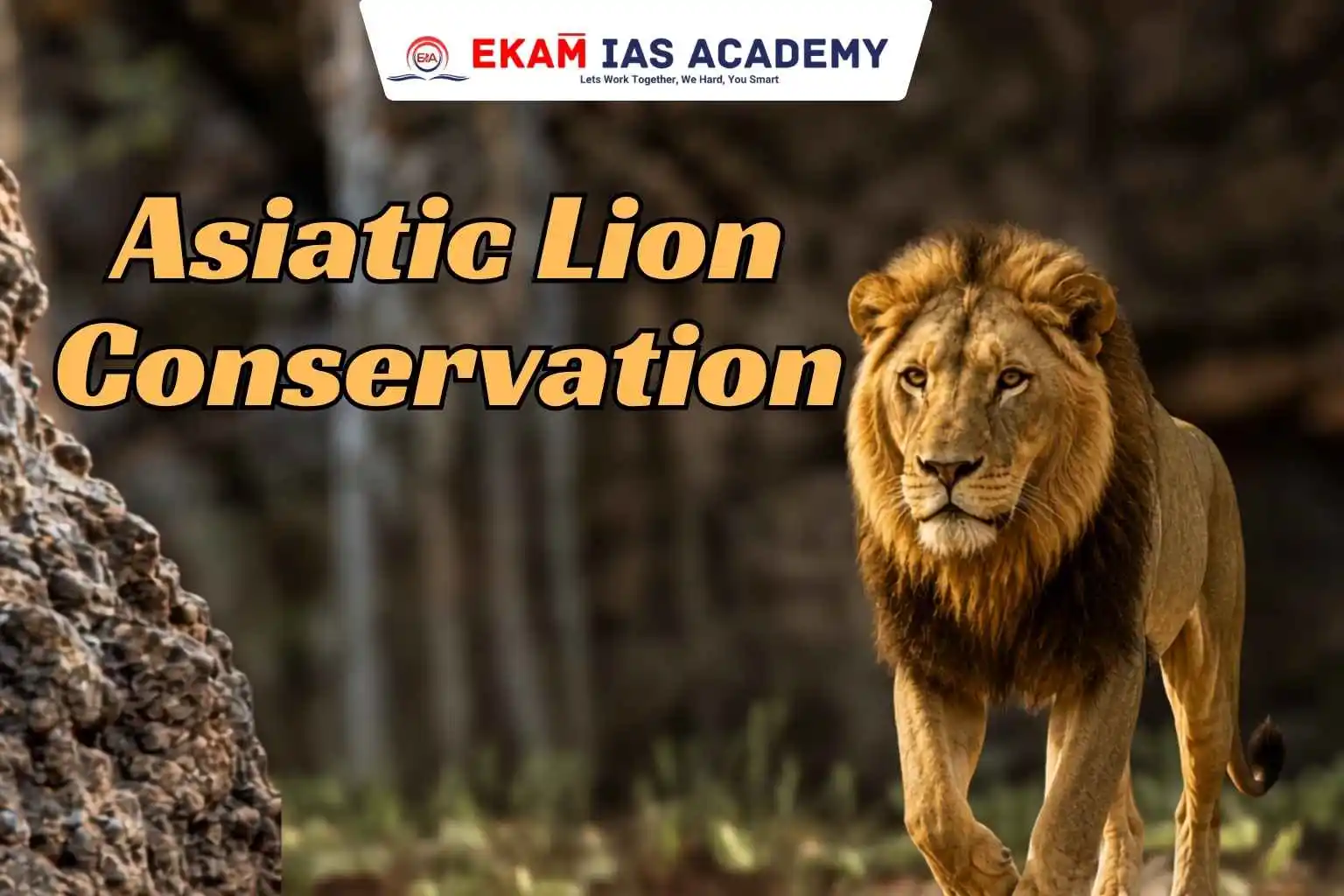 Asiatic Lion Conservation