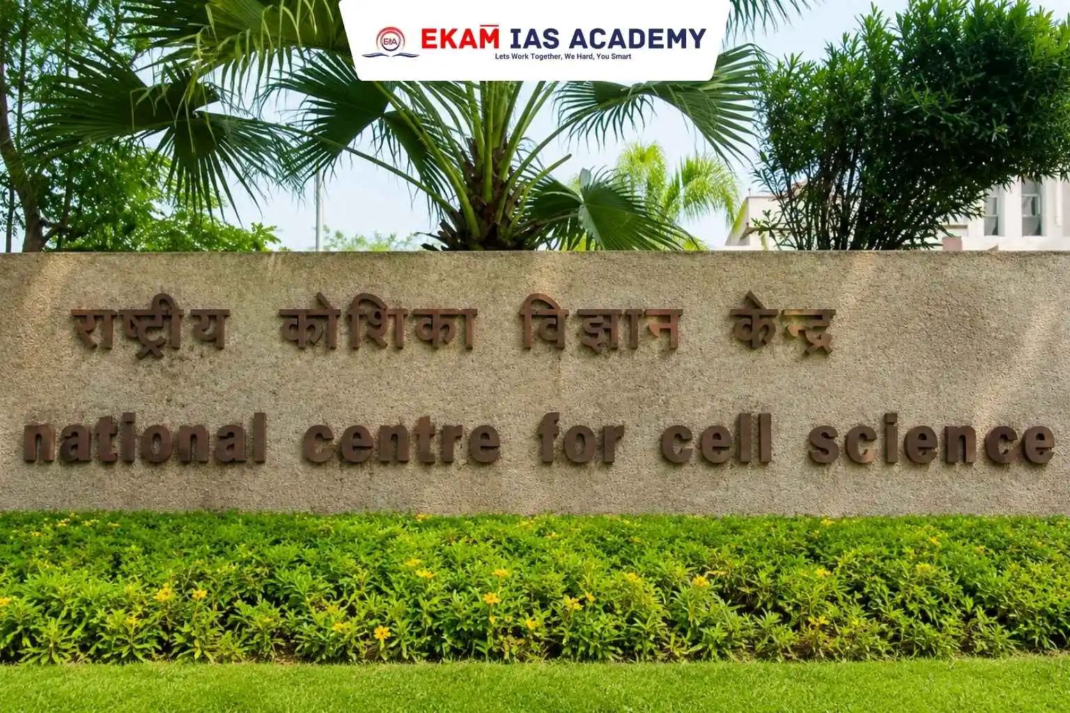 National Centre For Cell Science (NCCS)